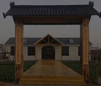 源头厂家